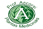 Logotipo PROF. ACCORSI PLANTAS MEDICINAIS