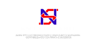 Logotipo SN ORGANIZAÇÃO CONTÁBIL
