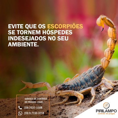 Controle de escorpião